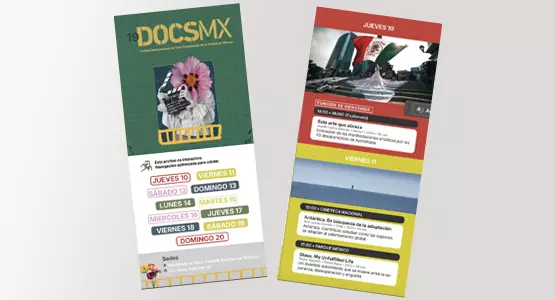 publicaciones, programa de mano, docsmx, 2024