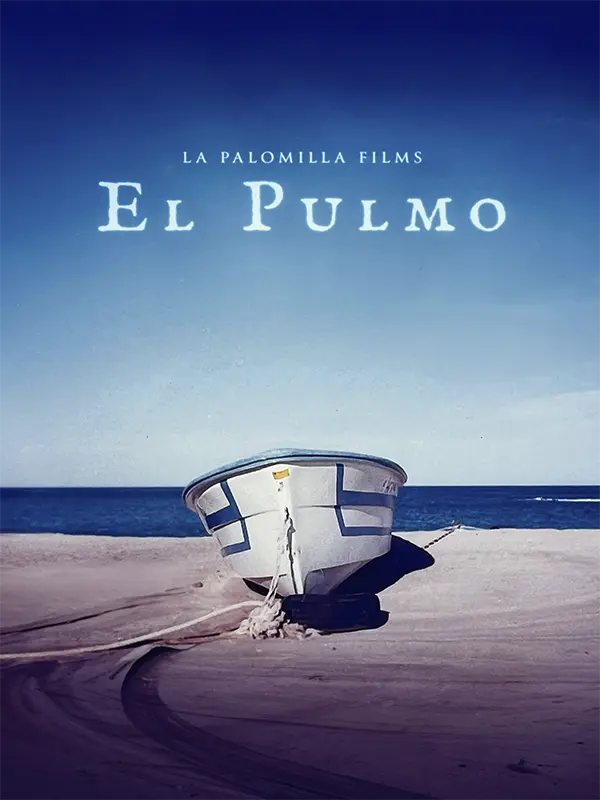 El Pulmo, Mark Kronemeyer, Begoña Félix, Programación, por película, 19 DocsMX, 2024